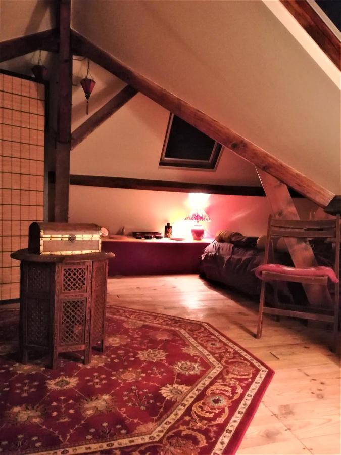 La Villa Des Chats Andrésy Εξωτερικό φωτογραφία