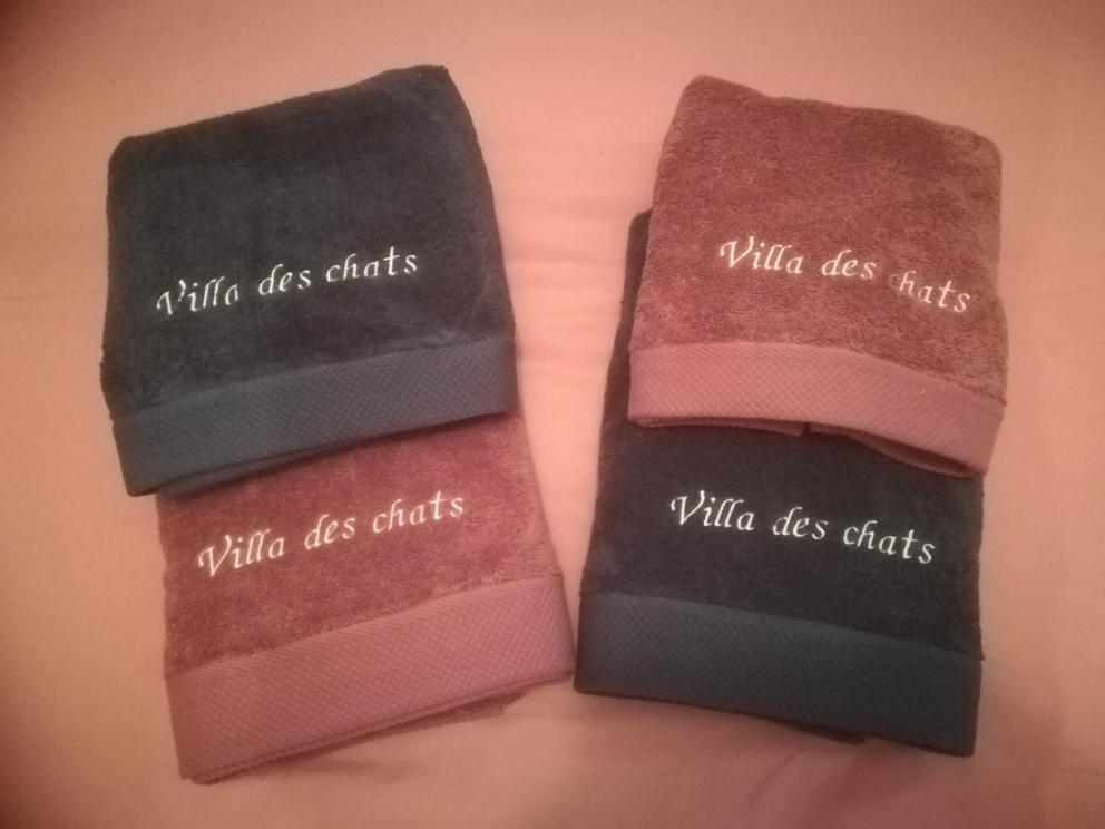La Villa Des Chats Andrésy Εξωτερικό φωτογραφία