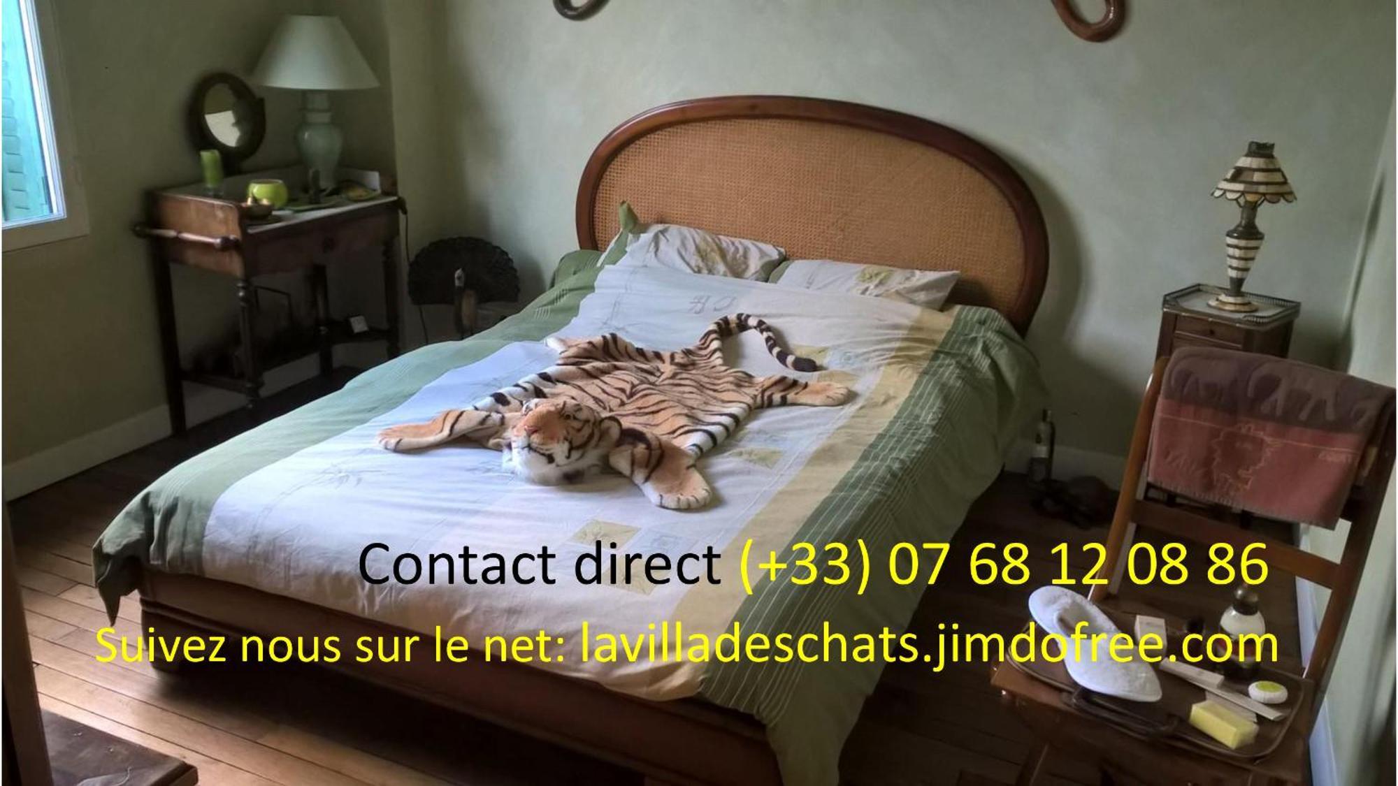 La Villa Des Chats Andrésy Εξωτερικό φωτογραφία