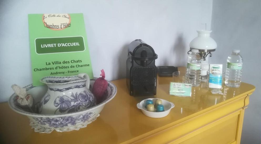 La Villa Des Chats Andrésy Εξωτερικό φωτογραφία